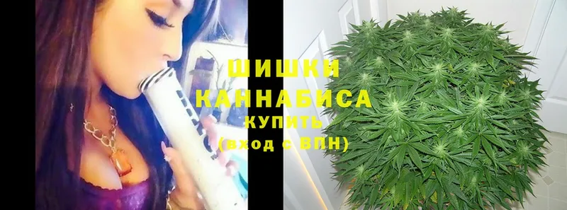 omg как зайти  Красногорск  Бошки марихуана OG Kush 